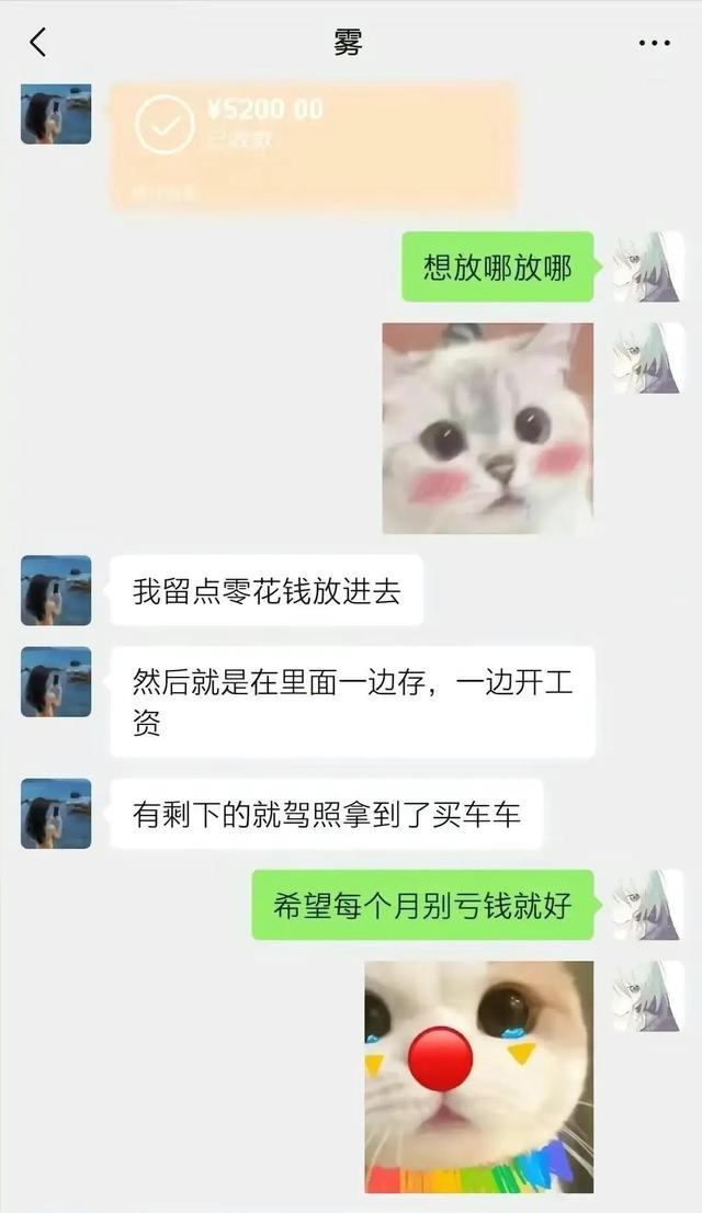 真瓜：21岁重庆胖猫跳江事件反转，真相却只有一个(图5)